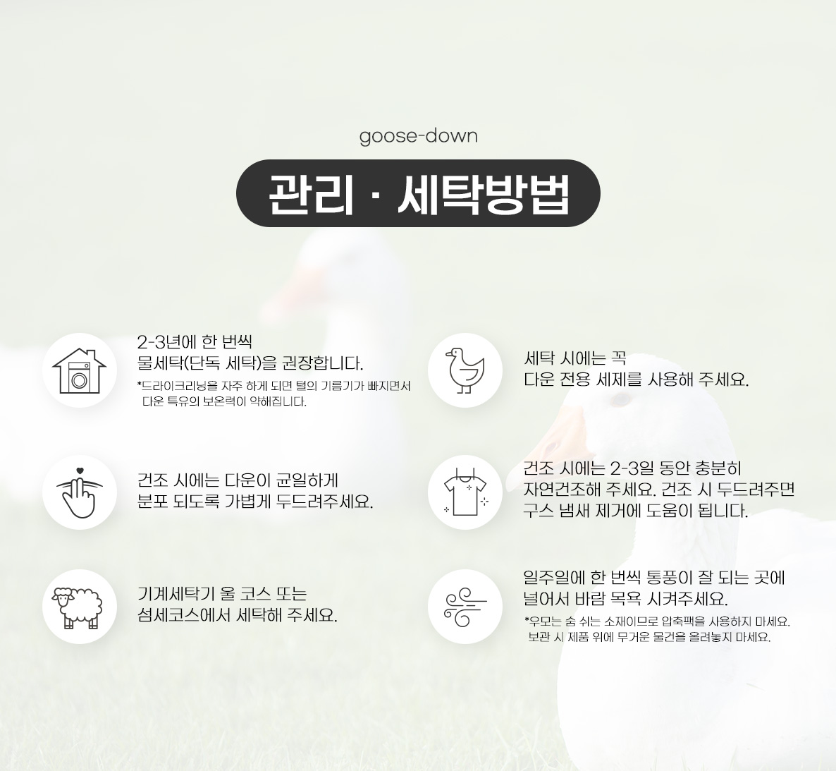 (구스다운)관리_세탁방법.jpg